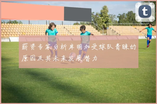 薪资专家分析库明加受球队青睐的原因及其未来发展潜力